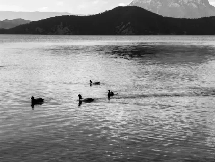 Καζίνο Μιδας Κινητη εφαρμογη